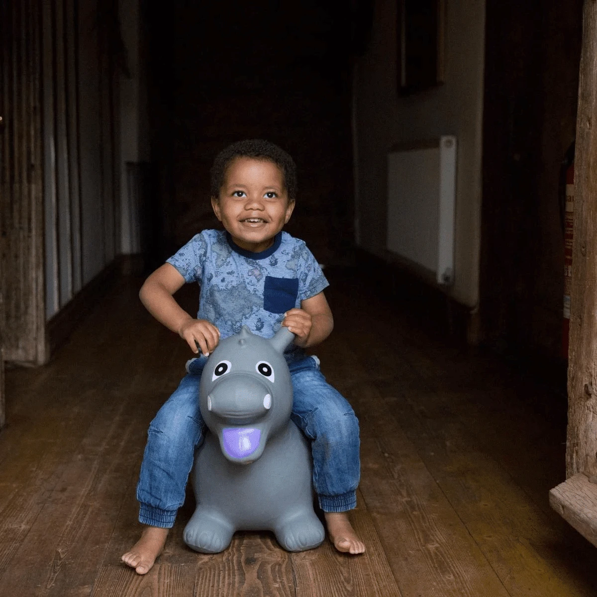 Happy Hopper Grey Dragon 5 Happy Hopper Grey Dragon - Image 3