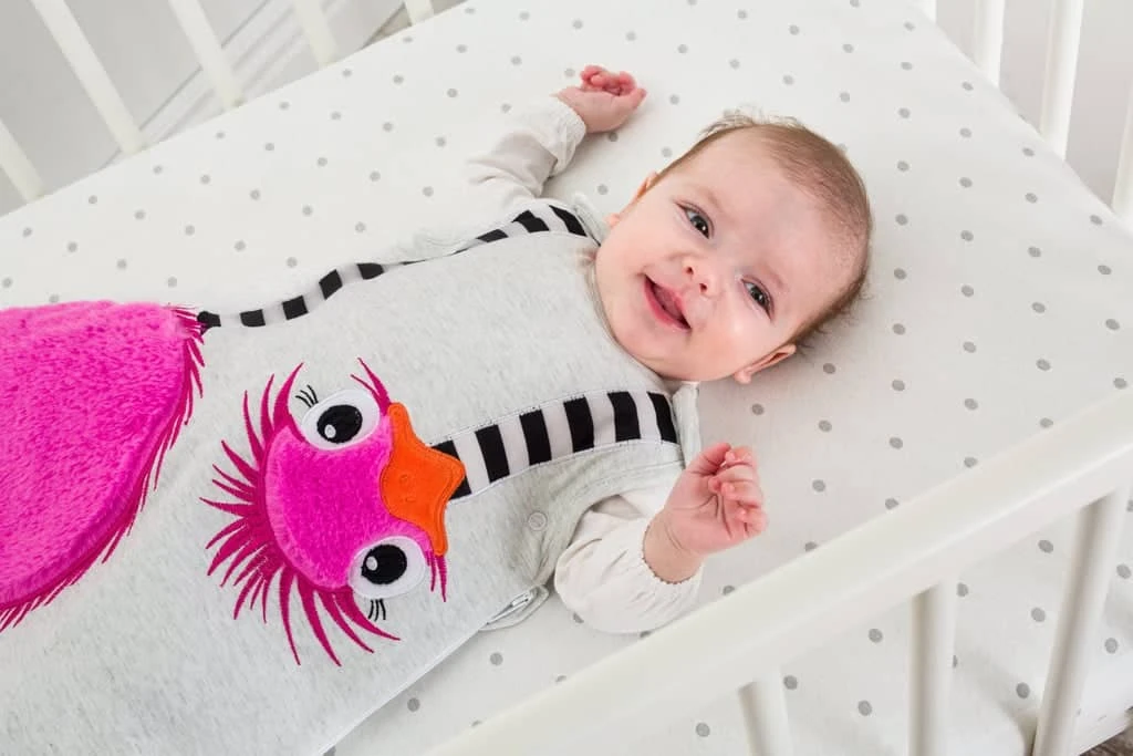 Bizzi Growin -BABY SLEEPING BAG 0-6 MONTHS 2.5 TOG – Octavia Ostrich 4 Bizzi Growin -BABY SLEEPING BAG 0-6 MONTHS 2.5 TOG – Octavia Ostrich - Image 2