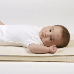 Little Green Sheep Organic Moses Basket/Pram Mattress Protector (30cm By 70cm) -Baby Supplies detet