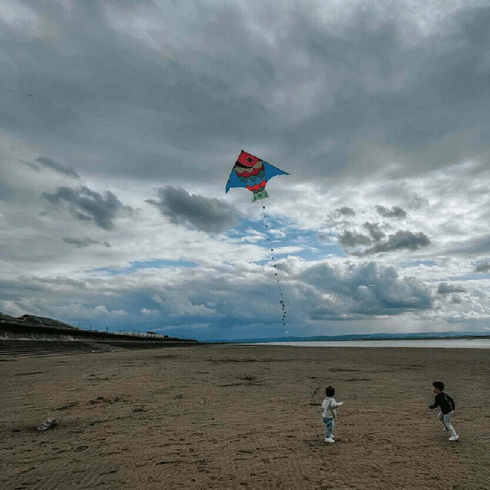 Vilac Giant Fish Kite 4 Vilac Giant Fish Kite - Image 2