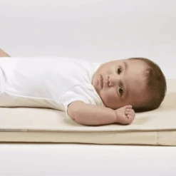 Little Green Sheep Organic Large Crib Mattress Protector 83X50cm -Baby Supplies rwey64w